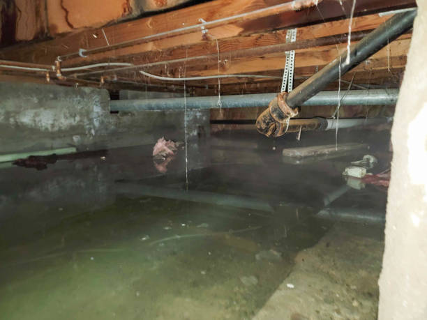Best Residential water damage restoration  in Oakley, KS