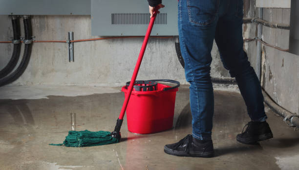 Best Sewage cleanup and water damage restoration  in Oakley, KS