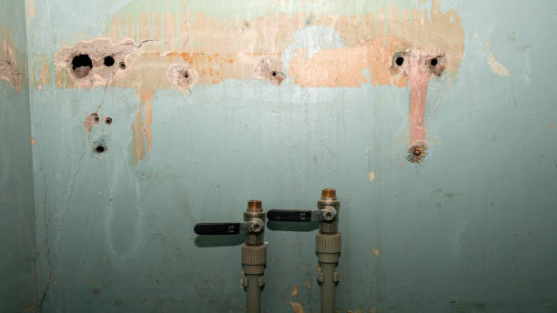 Best Emergency water damage restoration  in Oakley, KS