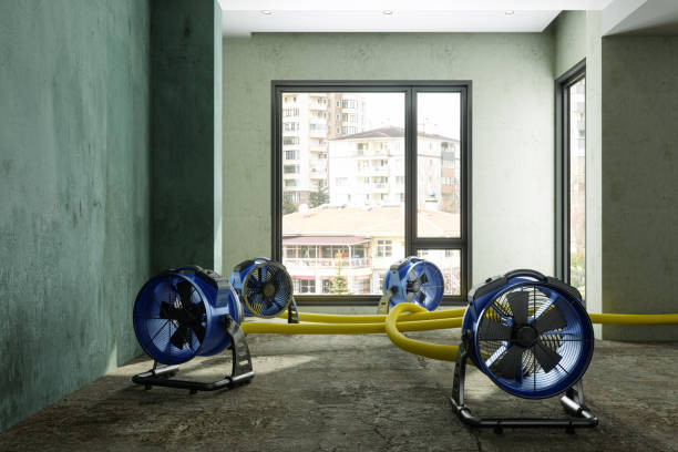 Best Local water damage restoration  in Oakley, KS